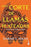 UNA CORTE DE LLAMAS PLATEADAS