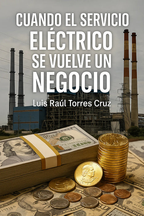 Cuando el servicio eléctrico se vuelve un negocio