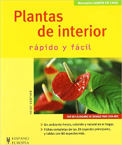 Plantas de interior (rápido y fácil)